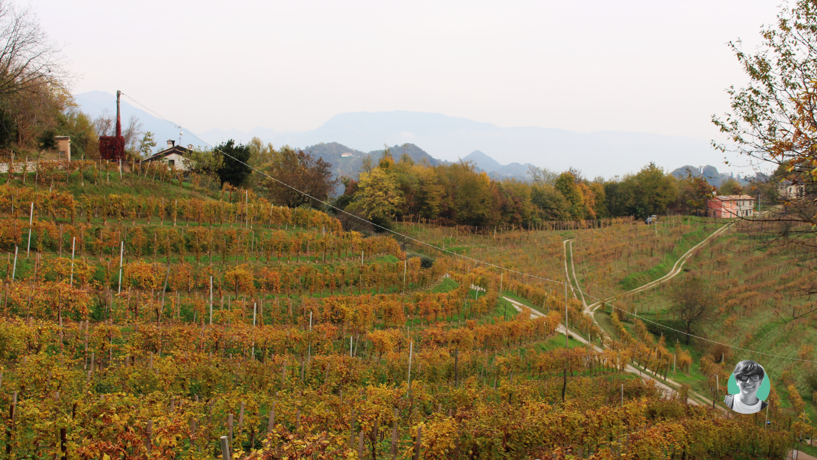 Solighetto e il Monte Villa.